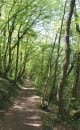 Descente du Fort de la Miotte